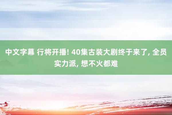 中文字幕 行将开播! 40集古装大剧终于来了, 全员实力派, 想不火都难