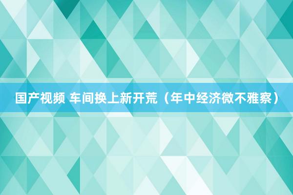 国产视频 车间换上新开荒（年中经济微不雅察）