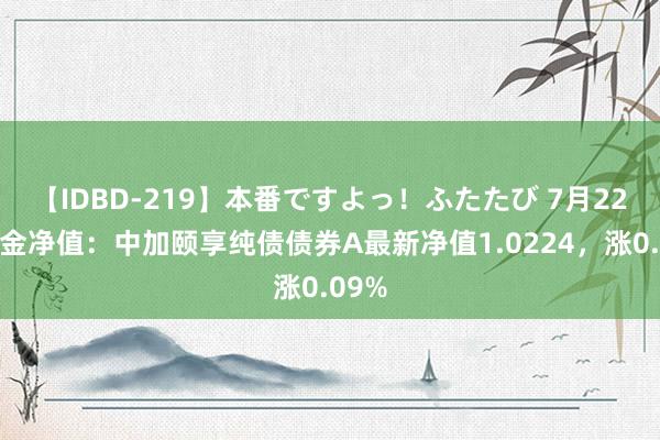 【IDBD-219】本番ですよっ！ふたたび 7月22日基金净值：中加颐享纯债债券A最新净值1.0224，涨0.09%