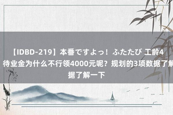 【IDBD-219】本番ですよっ！ふたたび 工龄42年，待业金为什么不行领4000元呢？规划的3项数据了解一下