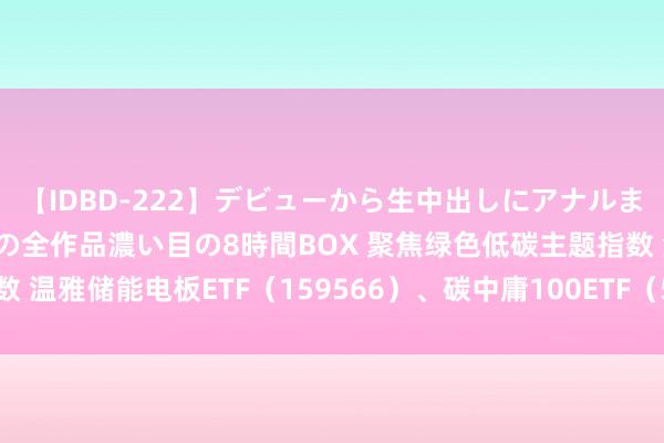 【IDBD-222】デビューから生中出しにアナルまで！最強の芸能人AYAの全作品濃い目の8時間BOX 聚焦绿色低碳主题指数 温雅储能电板ETF（159566）、碳中庸100ETF（562990）等居品走势