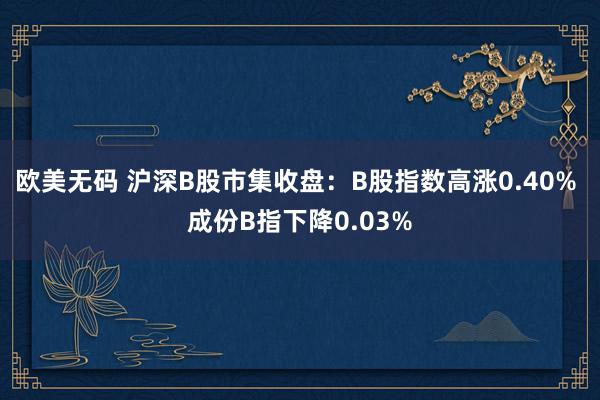 欧美无码 沪深B股市集收盘：B股指数高涨0.40% 成份B指下降0.03%