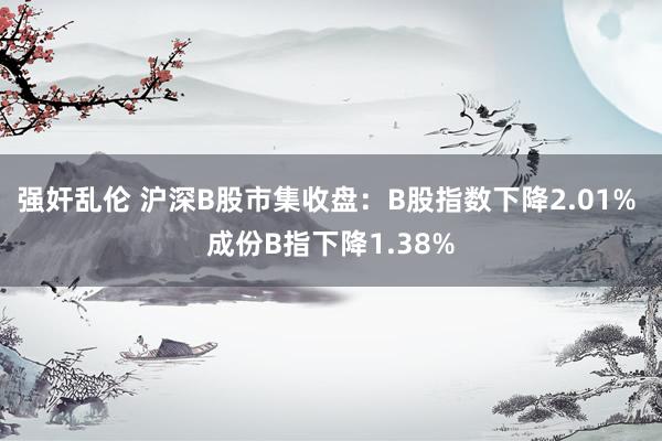 强奸乱伦 沪深B股市集收盘：B股指数下降2.01% 成份B指下降1.38%