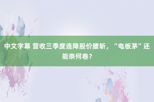 中文字幕 营收三季度连降股价腰斩，“电板茅”还能奈何卷？