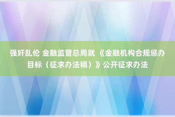 强奸乱伦 金融监管总局就 《金融机构合规惩办目标（征求办法稿）》公开征求办法