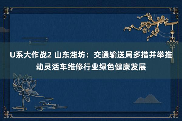 U系大作战2 山东潍坊：交通输送局多措并举推动灵活车维修行业绿色健康发展