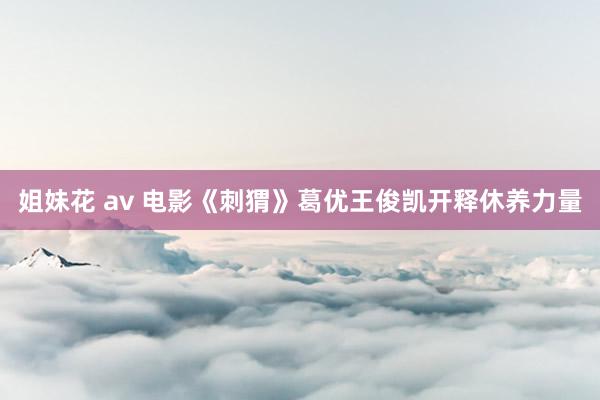 姐妹花 av 电影《刺猬》葛优王俊凯开释休养力量