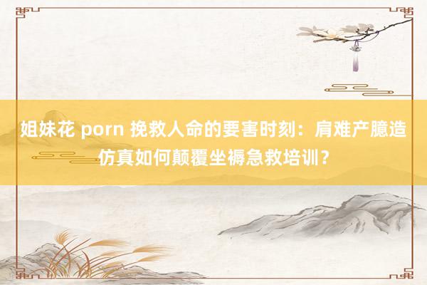 姐妹花 porn 挽救人命的要害时刻：肩难产臆造仿真如何颠覆坐褥急救培训？