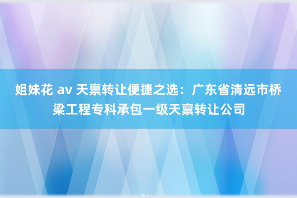 姐妹花 av 天禀转让便捷之选：广东省清远市桥梁工程专科承包一级天禀转让公司