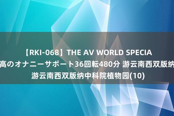 【RKI-068】THE AV WORLD SPECIAL あなただけに 最高のオナニーサポート36回転480分 游云南西双版纳中科院植物园(10)