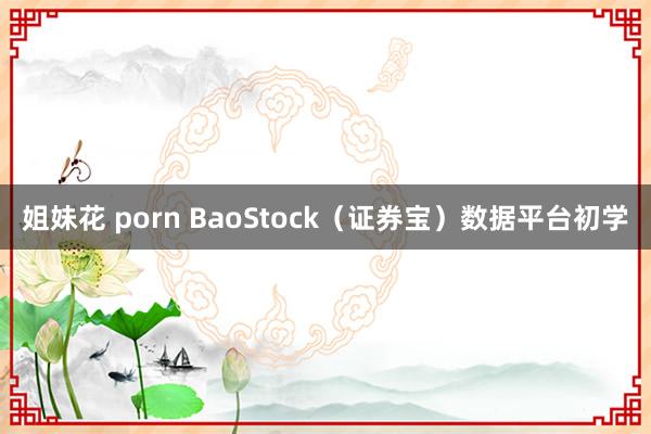 姐妹花 porn BaoStock（证券宝）数据平台初学