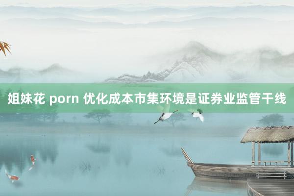 姐妹花 porn 优化成本市集环境是证券业监管干线