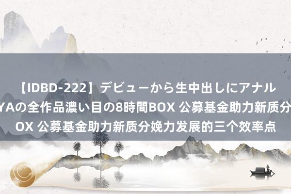 【IDBD-222】デビューから生中出しにアナルまで！最強の芸能人AYAの全作品濃い目の8時間BOX 公募基金助力新质分娩力发展的三个效率点